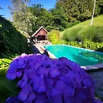 Luxury tent Glamping Mm *