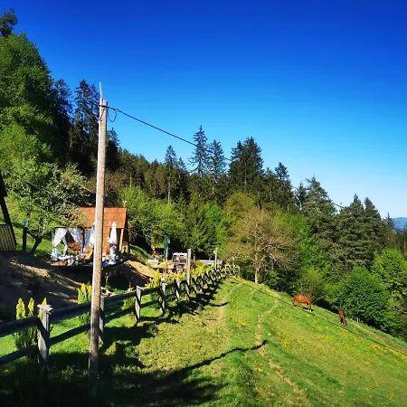 Campo de lujo Glamping Mm *