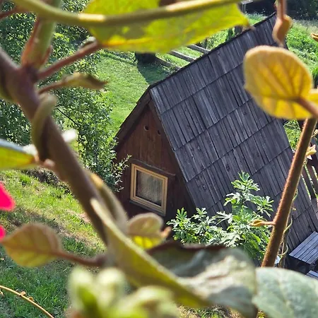 Glamping Mm * Muta