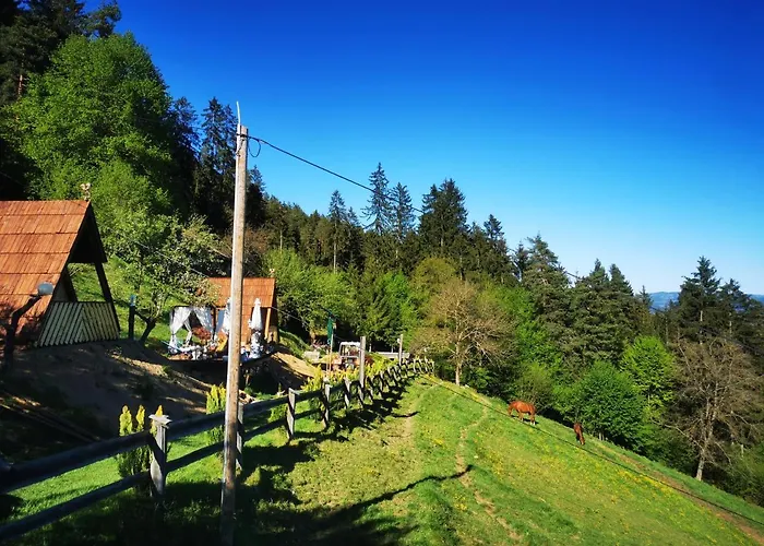 럭셔리텐트 Glamping Mm *